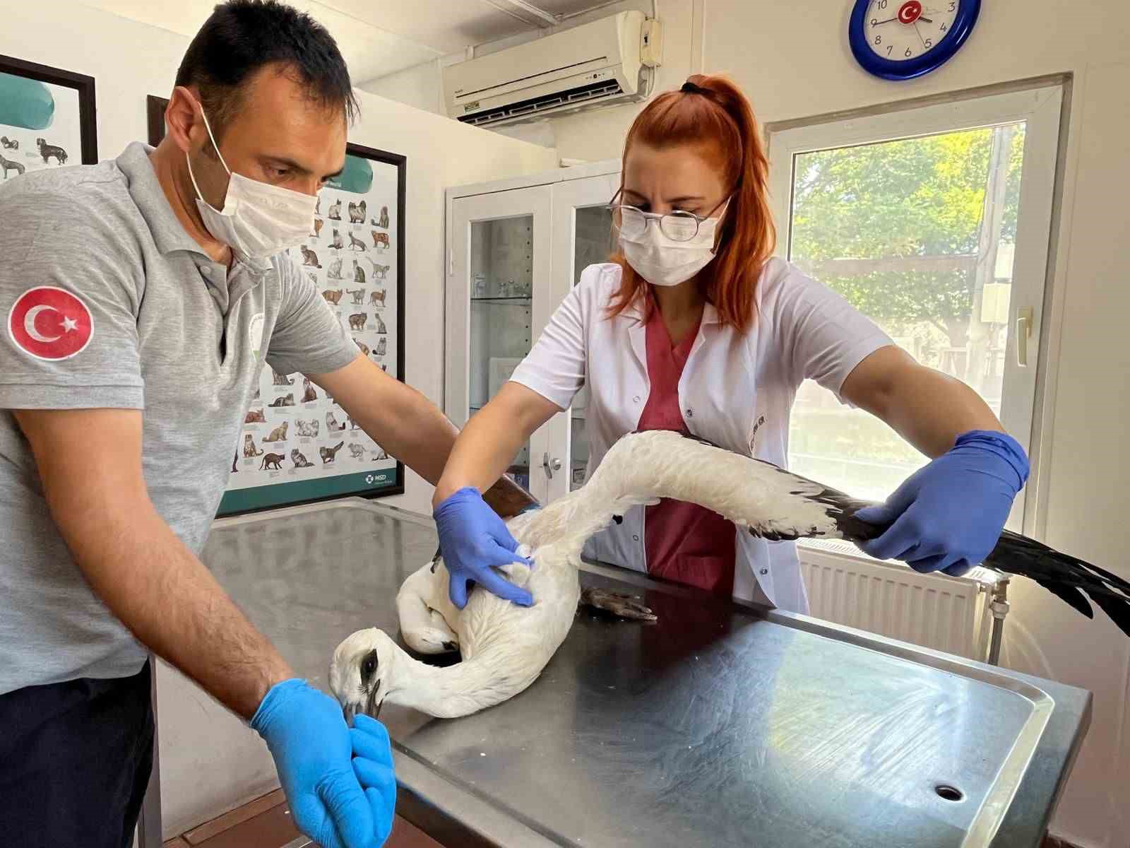 OSMANGAZİ BELEDİYESİ, NİLÜFERKÖY MAHALLESİ’NDE YER ALAN MERKEZ CAMİ’NİN İÇERİSİNE