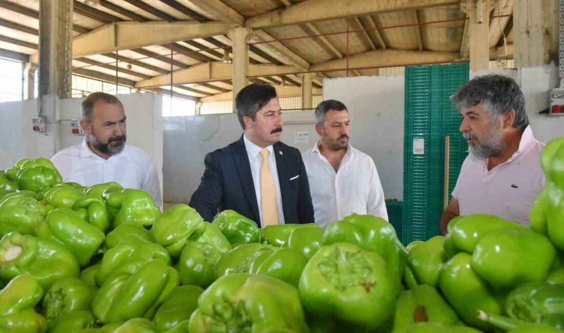 COĞRAFİ İŞARET TESCİL BELGESİ OLAN YENİŞEHİR BİBERİ’NİN DEĞERİNİN ARTIRILMASI İÇİN