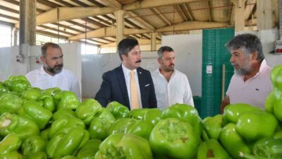 COĞRAFİ İŞARET TESCİL BELGESİ OLAN YENİŞEHİR BİBERİ’NİN DEĞERİNİN ARTIRILMASI İÇİN