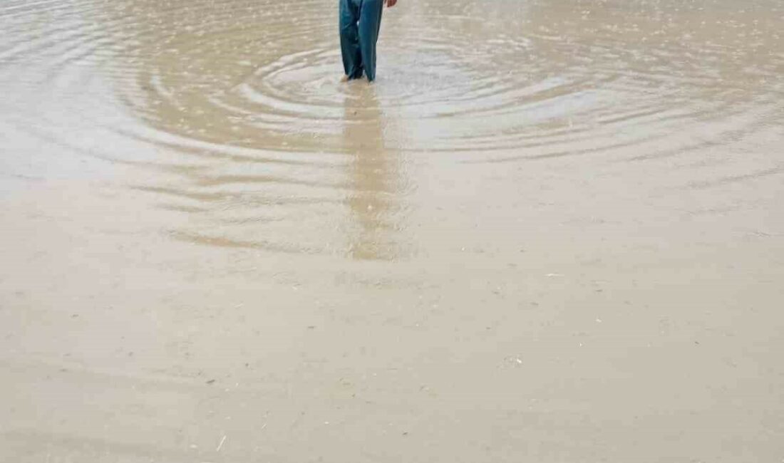 Yenişehir’de ev ve tarlalar sular altında kaldı BURSA’NIN YENİŞEHİR İLÇESİNDE BAŞLAYAN AŞIRI YAĞMUR YAĞIŞI SONRASI KIRSAL MAHALLELERDE