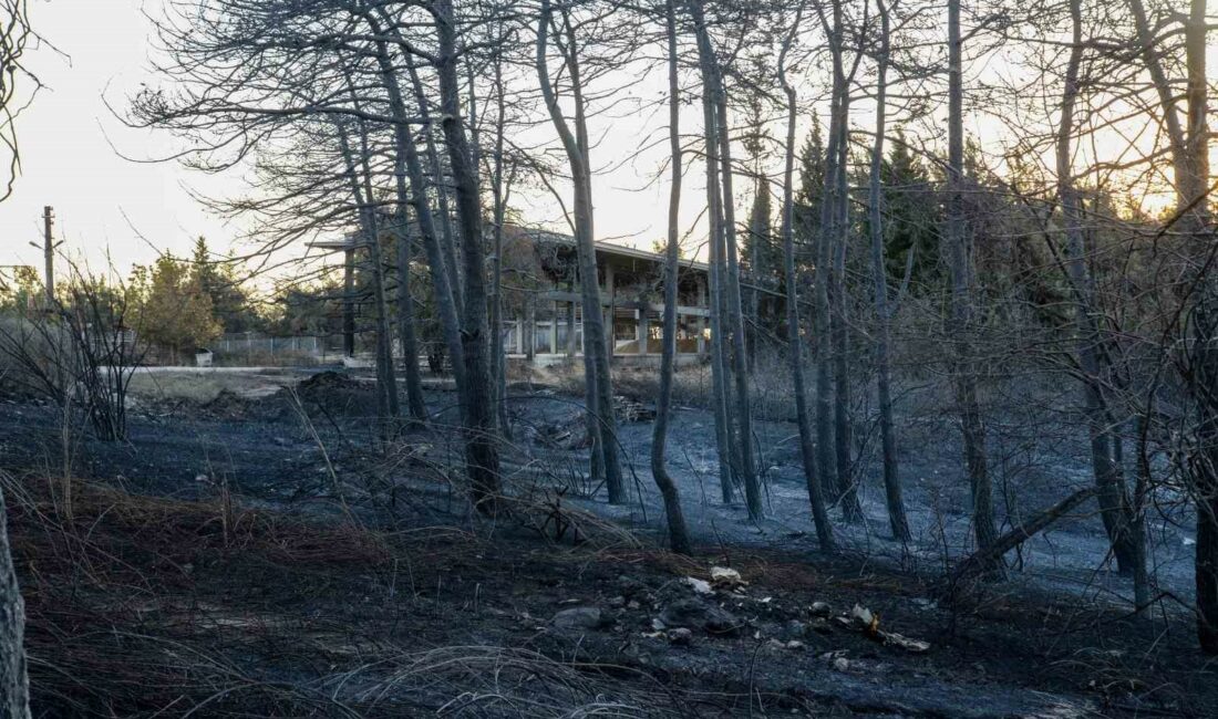 BURSA ULUDAĞ ÜNİVERSİTESİ'NDE YANAN YERLERDE İNCELEMELERDE BULUNAN YÜKSEKÖĞRETİM KURULU BAŞKANI