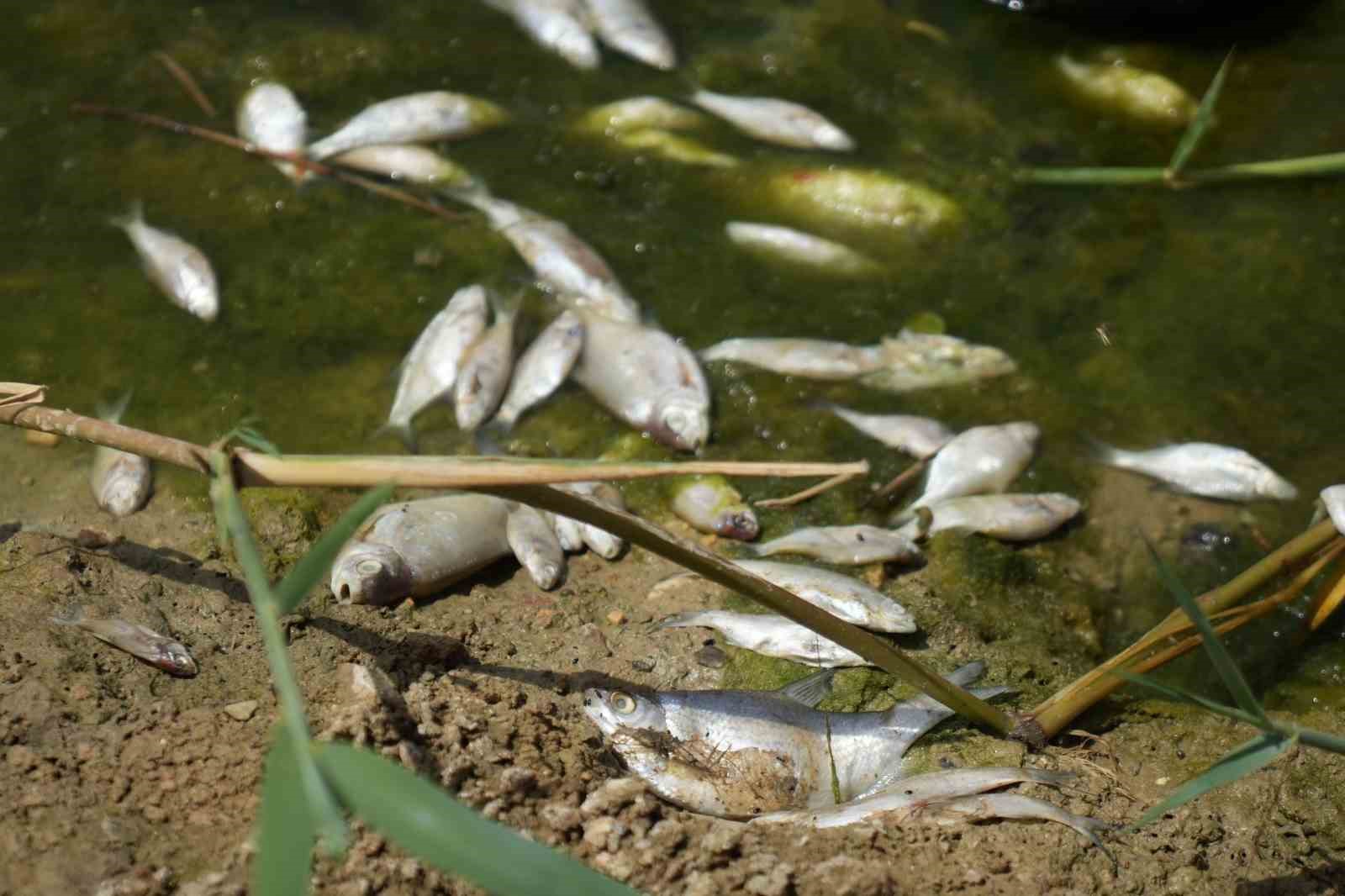 ULUDAĞ'IN GÜNEYİNDEN AKAN VE BURSA OVASINI TEK BAŞINA BESLEYEN NİLÜFER