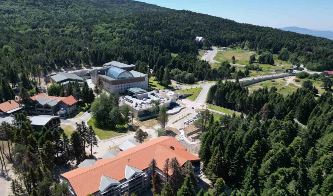 Zirvenin eşsiz doğasında sağlıklı beslenme kampı başlıyor ULUDAĞ MİLLİ PARKI’NIN MUHTEŞEM ORMANLARIYLA ÇEVRİLİ KİRAZLIYAYLA’DA HİZMET VEREN SWİSSÔTEL