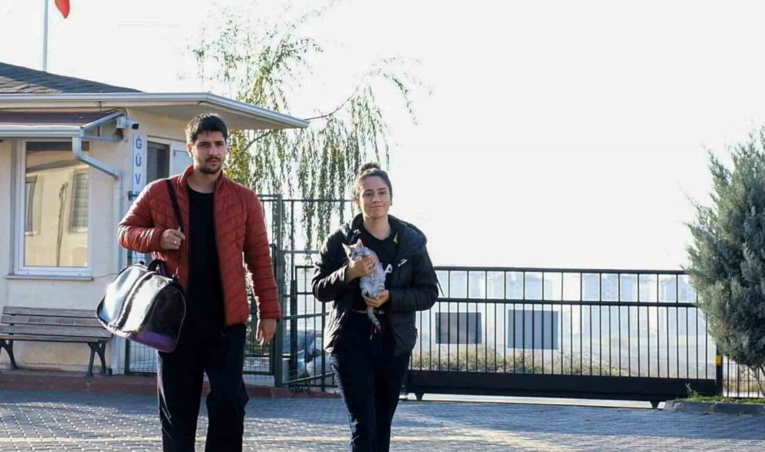 266 can dostu yeni yuvasına kavuştu İNEGÖL BELEDİYESİ VETERİNER İŞLERİ MÜDÜRLÜĞÜ’NÜN YAPTIĞI ÇALIŞMALARLA 2024 YILI OCAK