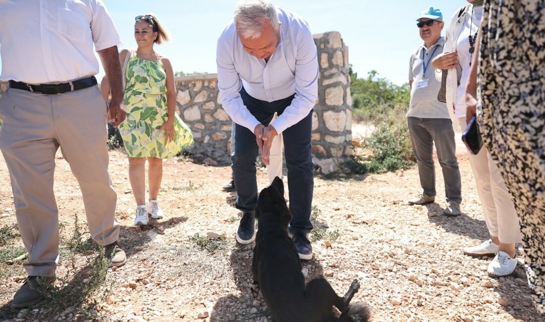 Başkan Şadi Özdemir, sokak hayvanları için hazırlanan projeyi inceledi NİLÜFER BELEDİYE BAŞKANI ŞADİ ÖZDEMİR, KURUÇEŞME MAHALLESİ’NDE 40 DÖNÜM ARAZİ