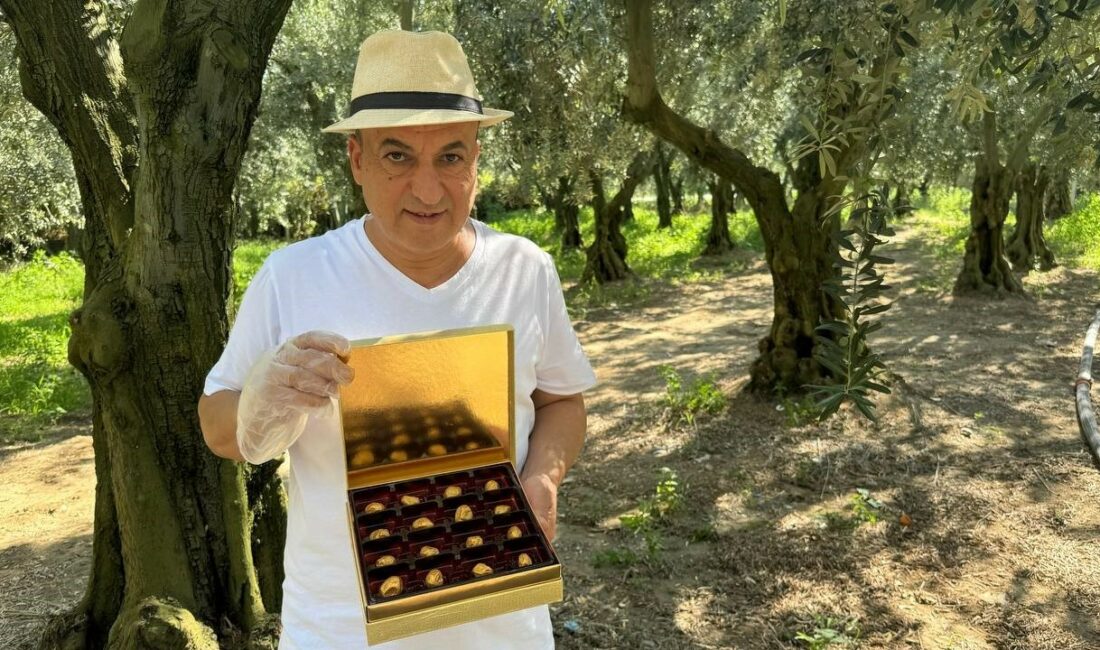 Altın kaplamalı zeytin yok satıyor İSTANBUL’DA ZEYTİN TİCARETİ İLE UĞRAŞAN İŞ ADAMI LEVENT USLUER, GEMLİK