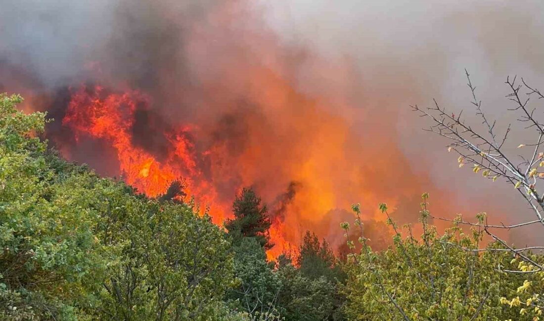 BURSA'NIN İZNİK İLÇESİNDE ORMANLIK ALANDA ÇIKAN YANGIN 12 SAATLİK MÜCADELENİN