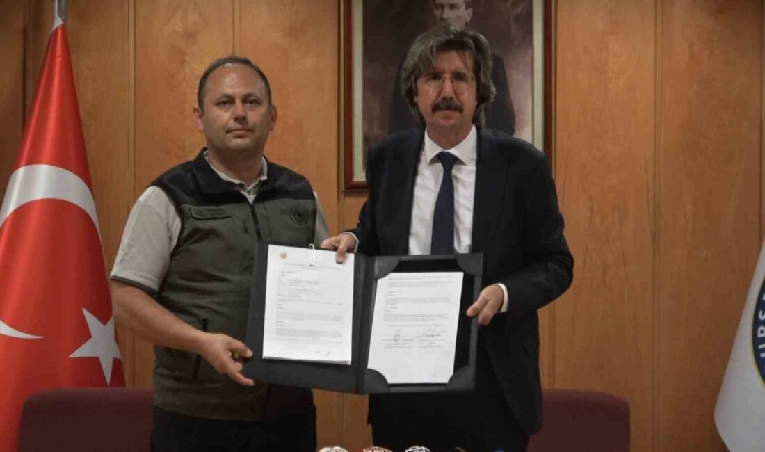 Bursa Uludağ Üniversitesi’nde yanan alanların ağaçlandırılması için protokol imzalandı BURSA'DA 30 HAZİRAN 2024 TARİHİNDE NİLÜFER İLÇESİNDE ÇIKAN VE ŞİDDETLİ