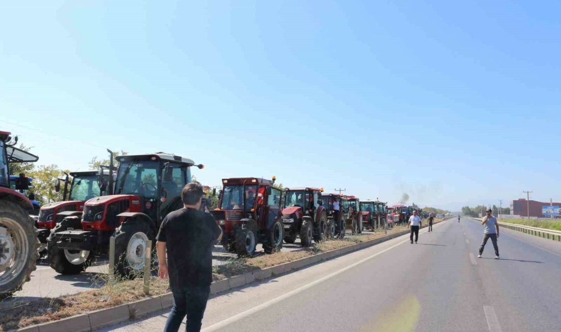 Bursa Valisi Demirtaş: “Tarım Kredi Kooperatifi, ilk etapta 30 bin ton salçalık domates alımı yapacak” BURSA KARACABEY VE MUSTAFAKEMALPAŞALI ÇİFTÇİLER BURSA-İZMİR KARAYOLU'NDA EYLEM YAPTI. JANDARMA