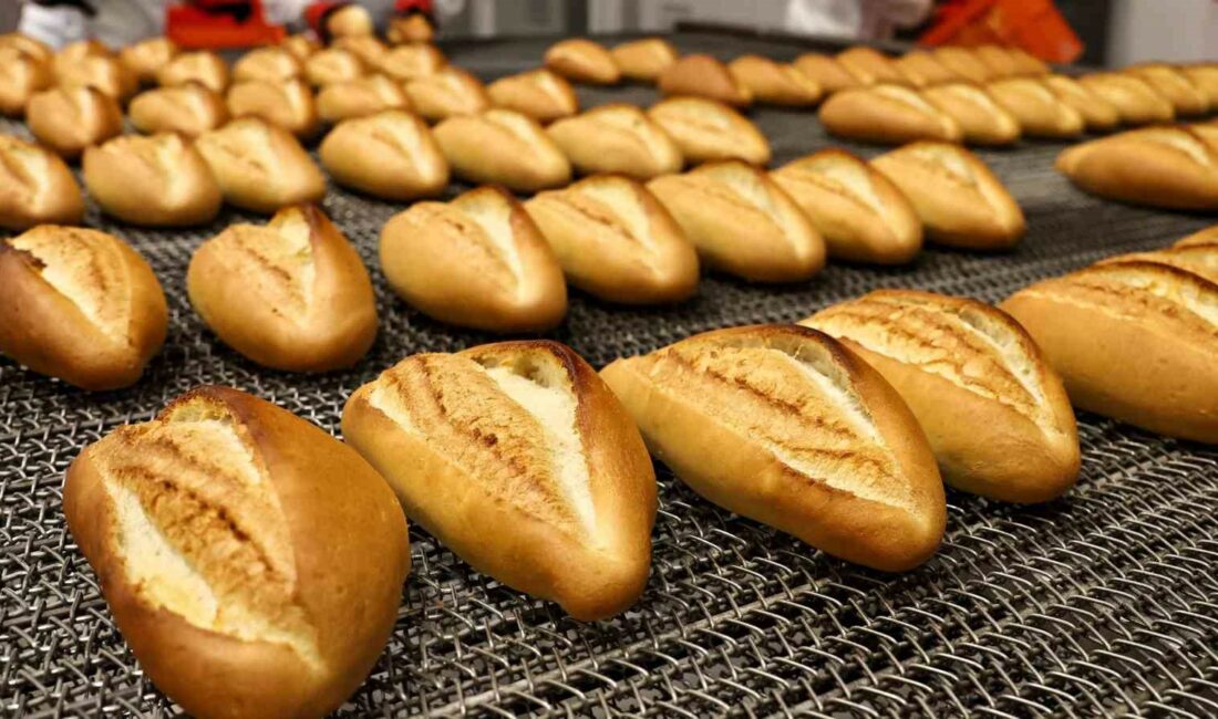 Bursa Yenişehir’de ekmeğe zam BURSA'NIN YENİŞEHİR İLÇESİNDE YAPILAN ZAMLA 300 GRAM EKMEK 12 LİRA