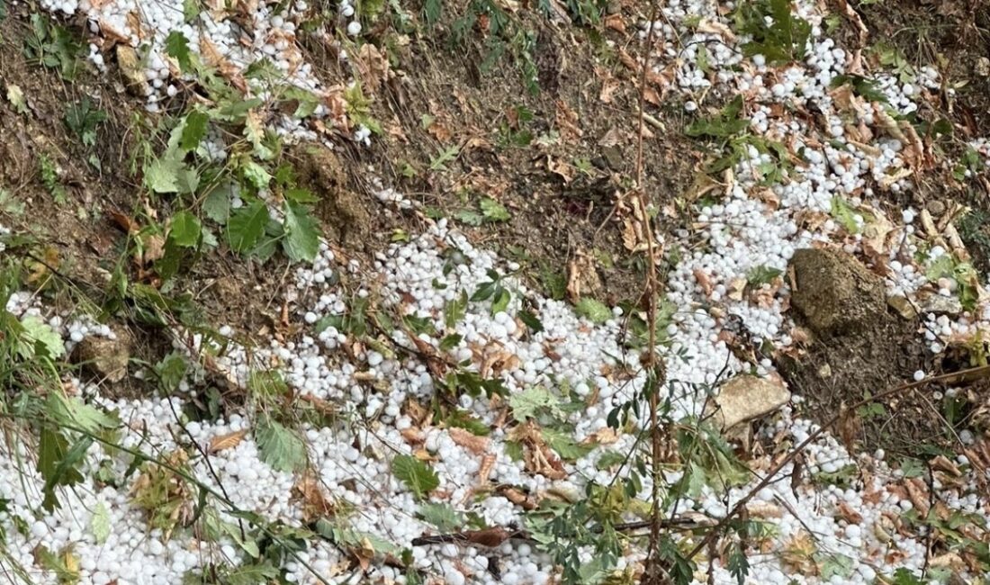 Bursa’da aniden bastıran dolu hayatı felç etti BURSA'NIN İNEGÖL İLÇESİNDE ANİDEN BASTIRAN SAĞANAK VE DOLU YAĞIŞI HAYATINI