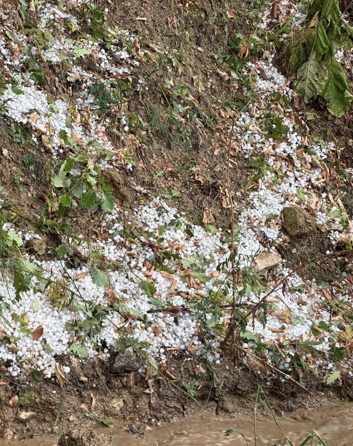 BURSA'NIN İNEGÖL İLÇESİNDE ANİDEN BASTIRAN SAĞANAK VE DOLU YAĞIŞI HAYATINI