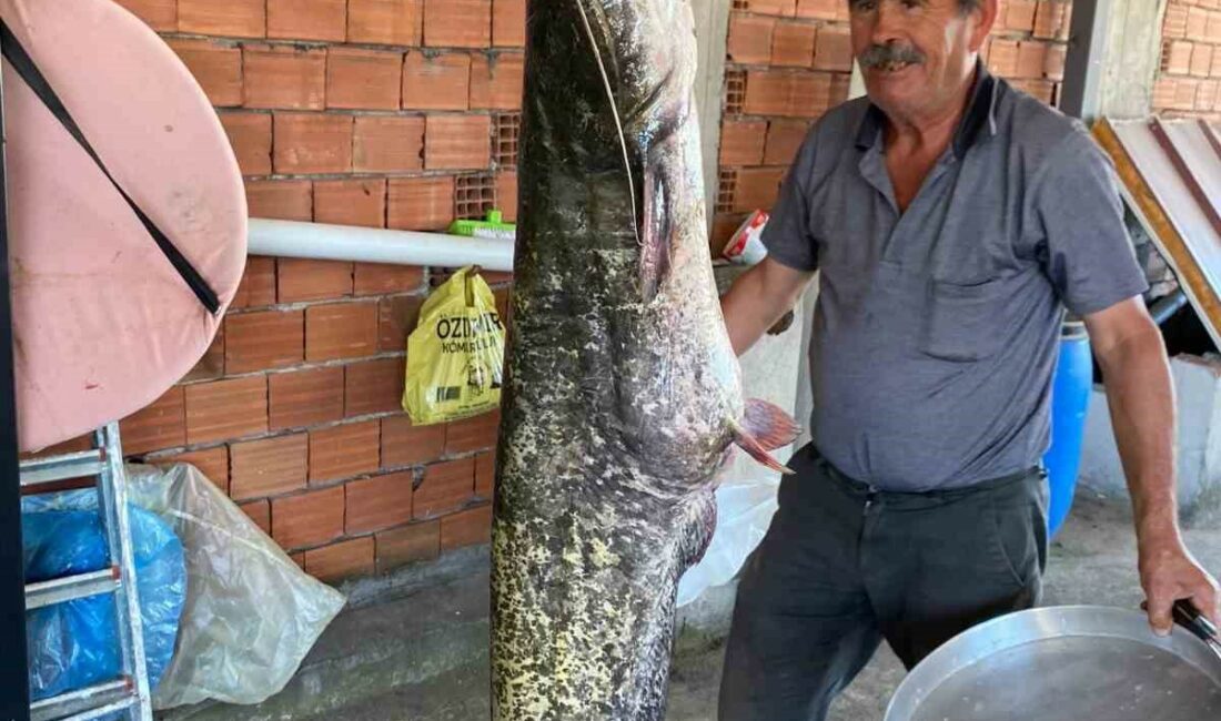 Bursa’da barajda 87 kilogramlık balık yakalandı BURSA’DA BARAJDA 87 KİLOGRAMLIK BALIK YAKALANDI