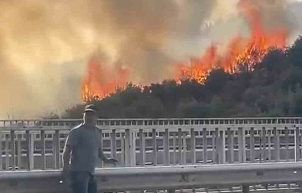 Bursa’da barakadan çıkan yangın zeytinlik alana sıçradı BURSA’DA BARAKADAN ÇIKAN YANGIN ZEYTİNLİK ALANA SIÇRADI