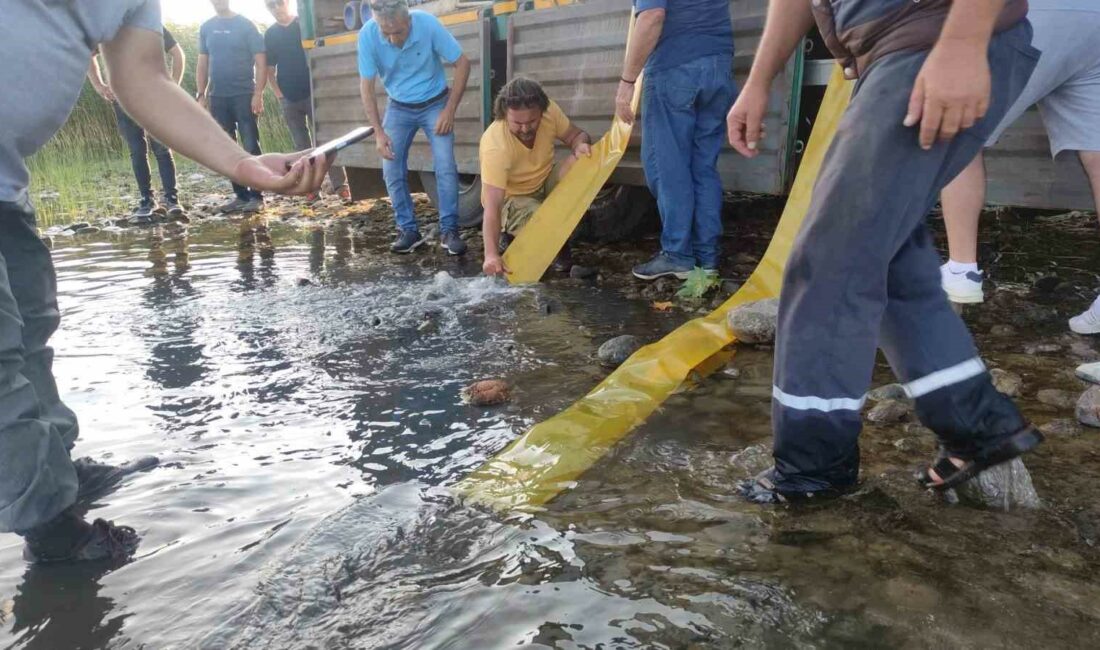 Bursa’da göl ve göletlere 3 milyon 350 bin yavru sazan bırakıldı YAVRU SAZANLAR BURSA GENELİNDEKİ GÖL VE GÖLETLERE BIRAKILDI.
