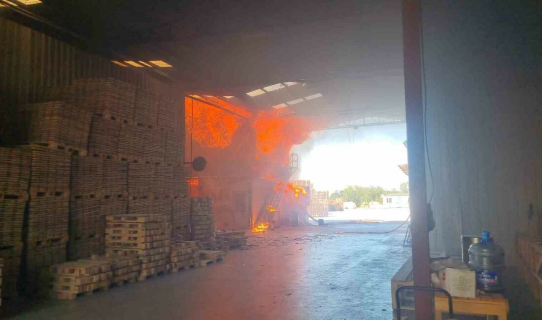 Bursa’da kereste fabrikası alevlere teslim oldu BURSA'DA KERESTE FABRİKASINDA ÇIKAN YANGIN, 1 SAAT SÜREN MÜDAHALE SONRASI