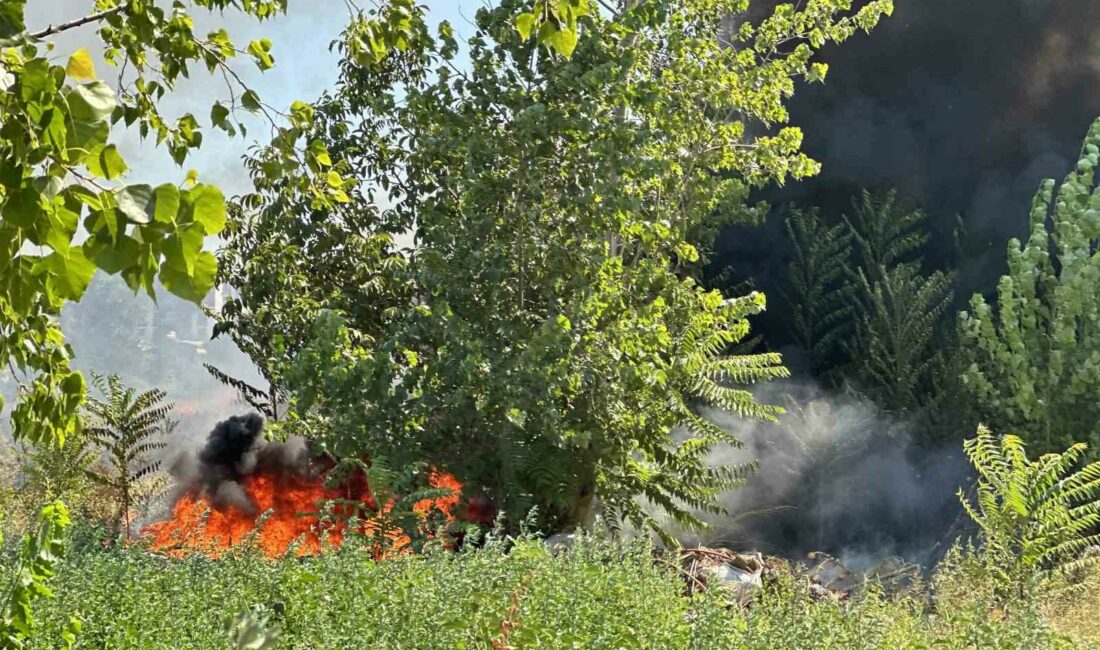 Bursa’da korkutan yangın BURSA'DA OTLUK ALANDA ÇIKAN YANGIN KISA SÜREDE BÜYÜRKEN BÖLGEYE ÇOK