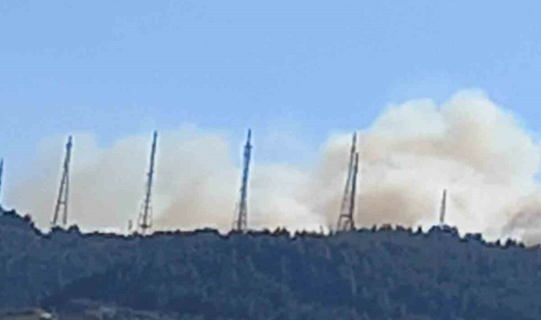 Bursa’da orman yangını BURSA'NIN OSMANGAZİ İLÇESİ TELEVİZYON VE RADYO VERİCİLERİNİN BULUNDUĞU KIRSAL GÜNDOĞDU