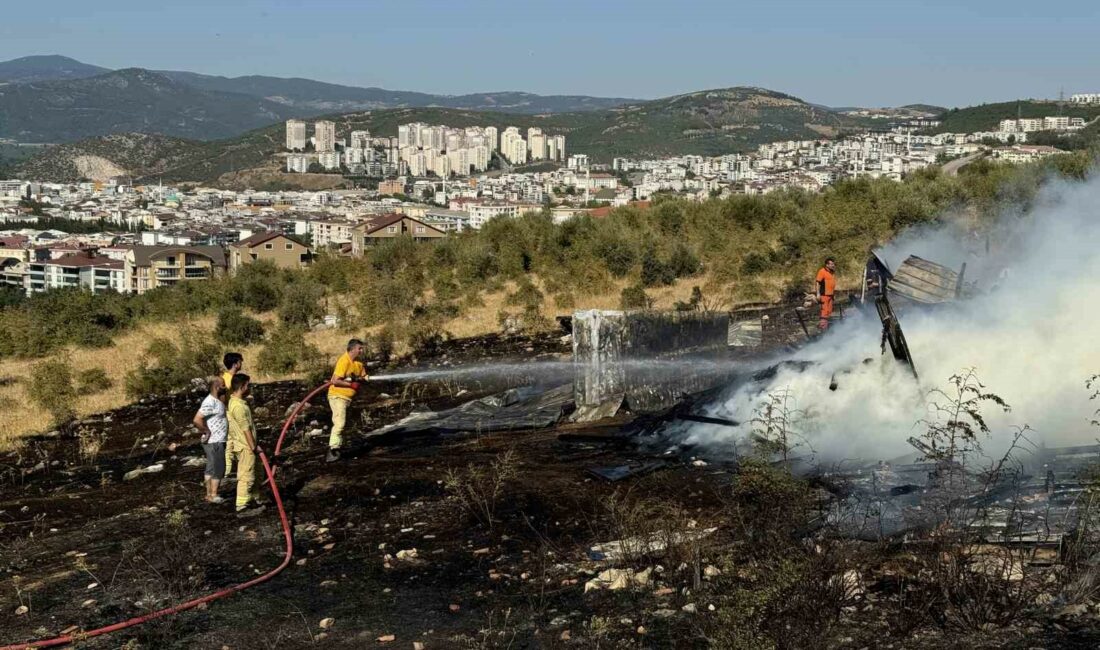Bursa’da ormanlık alan büyük tehlike atlattı KESTEL İLÇESİNDE OTLUK ALANDA OYUN OYNAYAN ÇOCUKLAR, BİR SÜRE SONRA