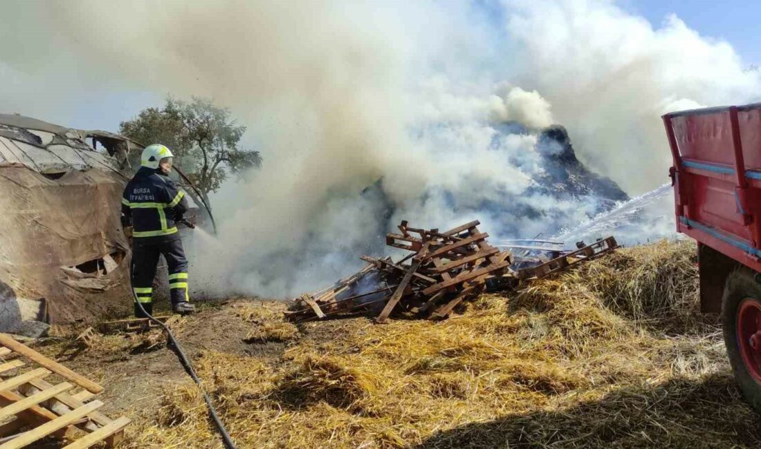 Bursa’da saman balyaları alevlere teslim oldu BURSA’NIN ORHANGAZİ İLÇESİNDE ÇİFTLİK EVİNİN BAHÇESİNDEKİ SAMAN BALYALARI ALEVLERE TESLİM