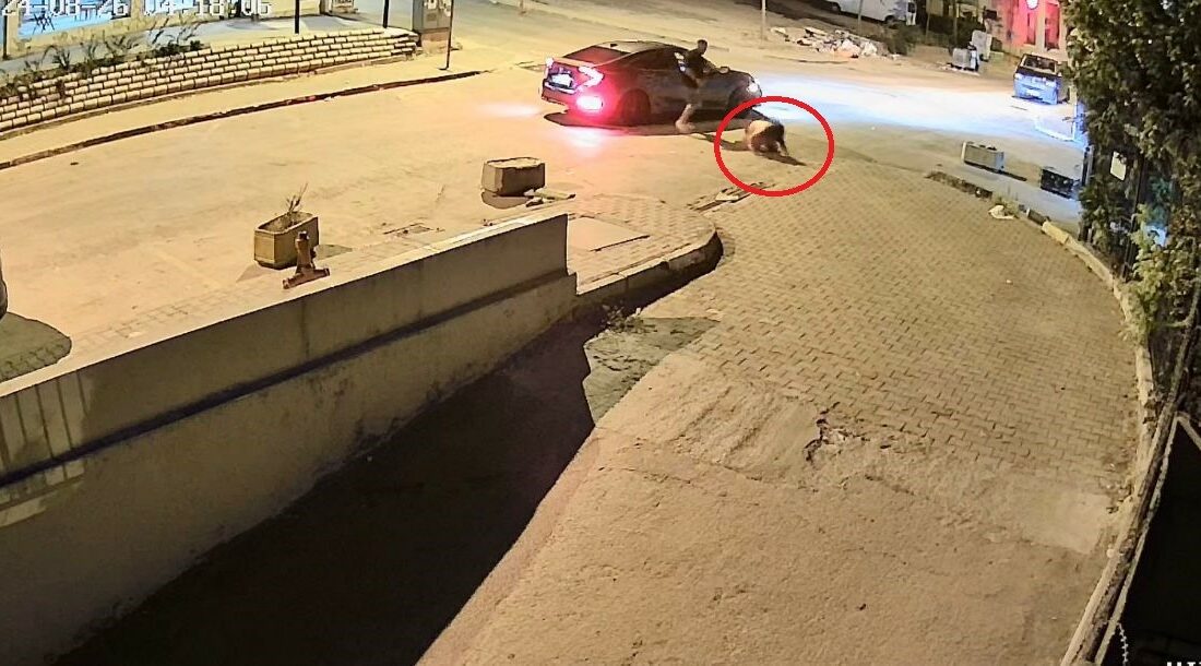 Bursa’da sevgilisini dakikalarca böyle darp etti, çok geçmeden yakalandı BURSA'DA SEVGİLİSİ OLDUĞU ÖNE SÜRÜLEN KİŞİ, KADINI ÖNCE ARAÇTAN AŞAĞI