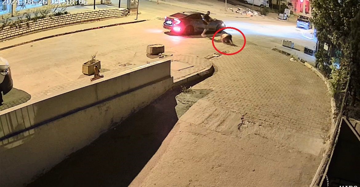 BURSA'DA SEVGİLİSİ OLDUĞU ÖNE SÜRÜLEN KİŞİ, KADINI ÖNCE ARAÇTAN AŞAĞI