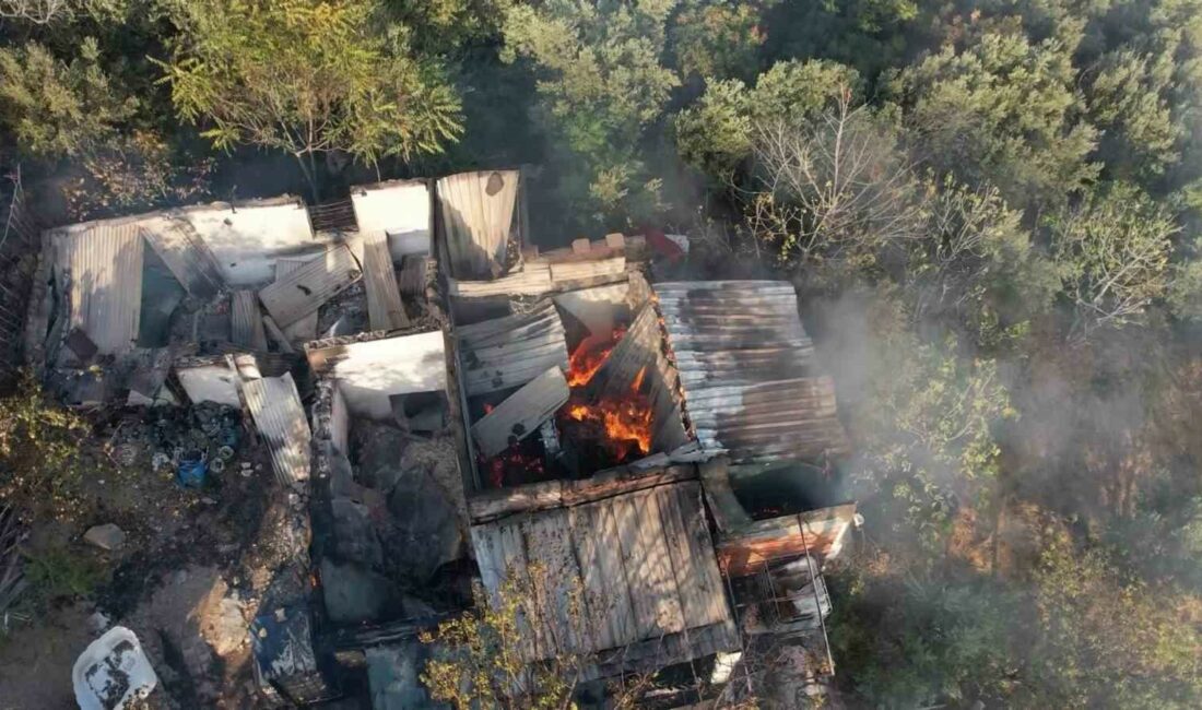 Bursa’da zeytinlik alandaki yangın söndürüldü BURSA’DA BARAKADAN BAŞLAYAN VE HIZLICA ZEYTİNLİK ALANA SIÇRAYAN YANGIN İTFAİYE