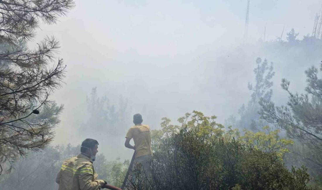 BURSA'NIN OSMANGAZİ İLÇESİNDE TELEVİZYON VE RADYO VERİCİLERİNİN BULUNDUĞU KIRSAL GÜNDOĞDU