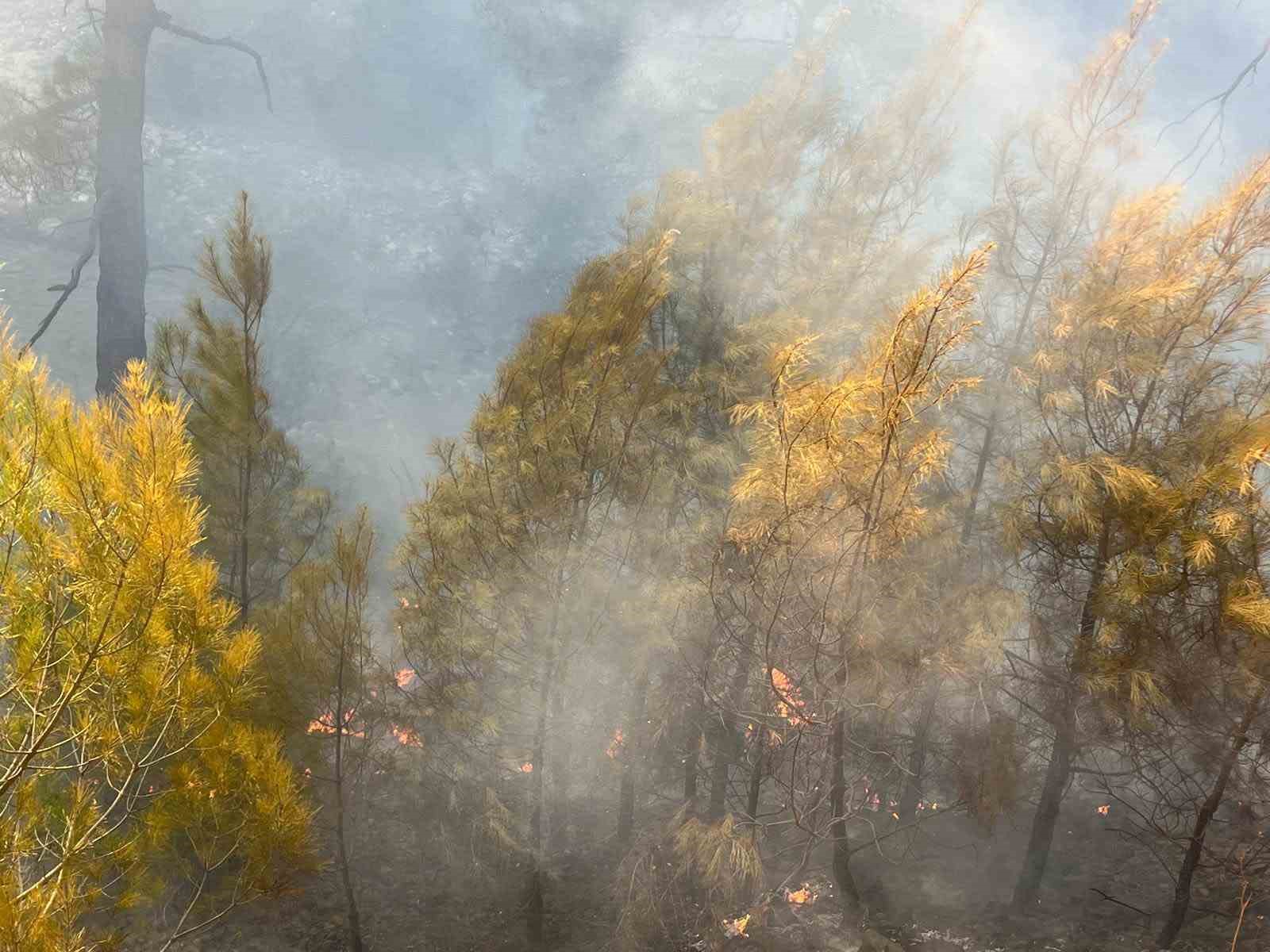 ORMANLIK ALANDA ÇIKAN YANGIN, EKİPLERİN MÜDAHALESİYLE SÖNDÜRÜLDÜ.