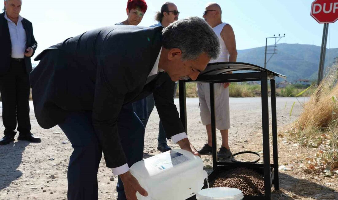 Gemlik Belediyesi’nde sokak hayvanları için seferberlik GEMLİK BELEDİYE BAŞKANI ŞÜKRÜ DEVİREN, SAĞLIK İŞLERİ MÜDÜRLÜĞÜ'NÜN DÜZENLİ OLARAK