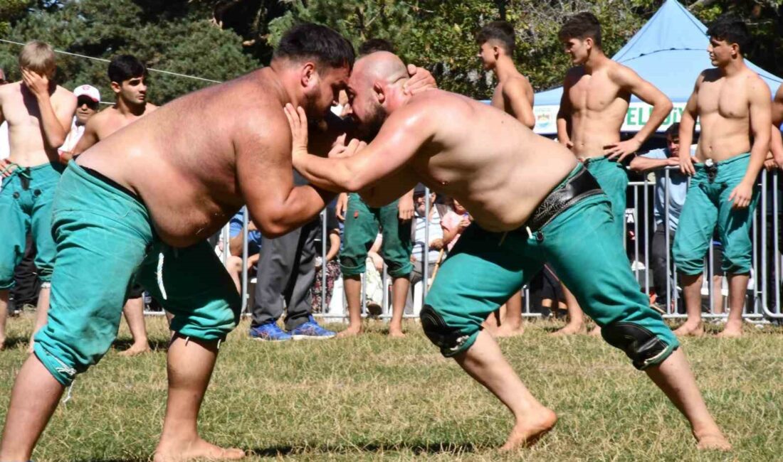Güreşçiler kozlarını Alıç Yaylası’nda paylaştı BURSA İZNİK İLÇESİ ELMALI MAHALLESİ ALIÇ YAYLASI 5. KARAKUCAK GÜREŞLERİ