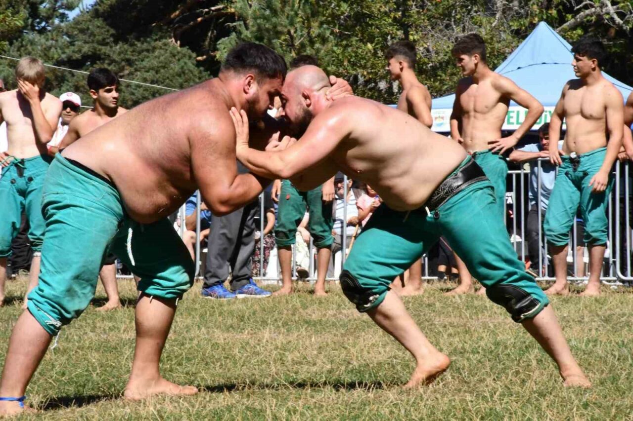BURSA İZNİK İLÇESİ ELMALI MAHALLESİ ALIÇ YAYLASI 5. KARAKUCAK GÜREŞLERİ