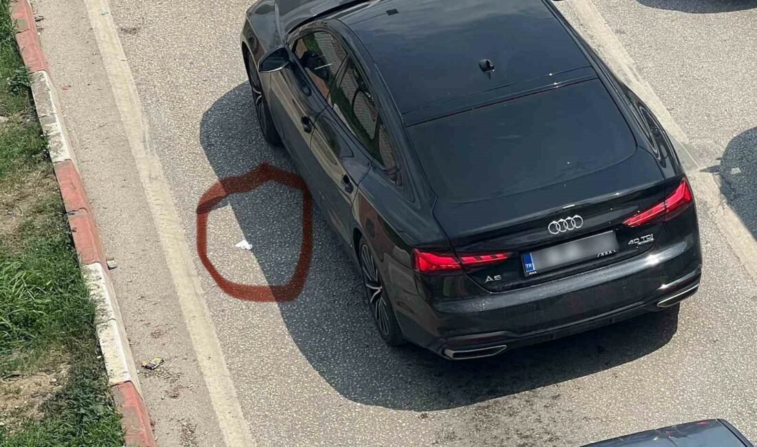 İnegöl’de çevreyi kirletenlere ceza İNEGÖL BELEDİYESİ ZABITA MÜDÜRLÜĞÜ, SEYİR HALİNDEYKEN ÇÖP ATILAN 68 ARACA,