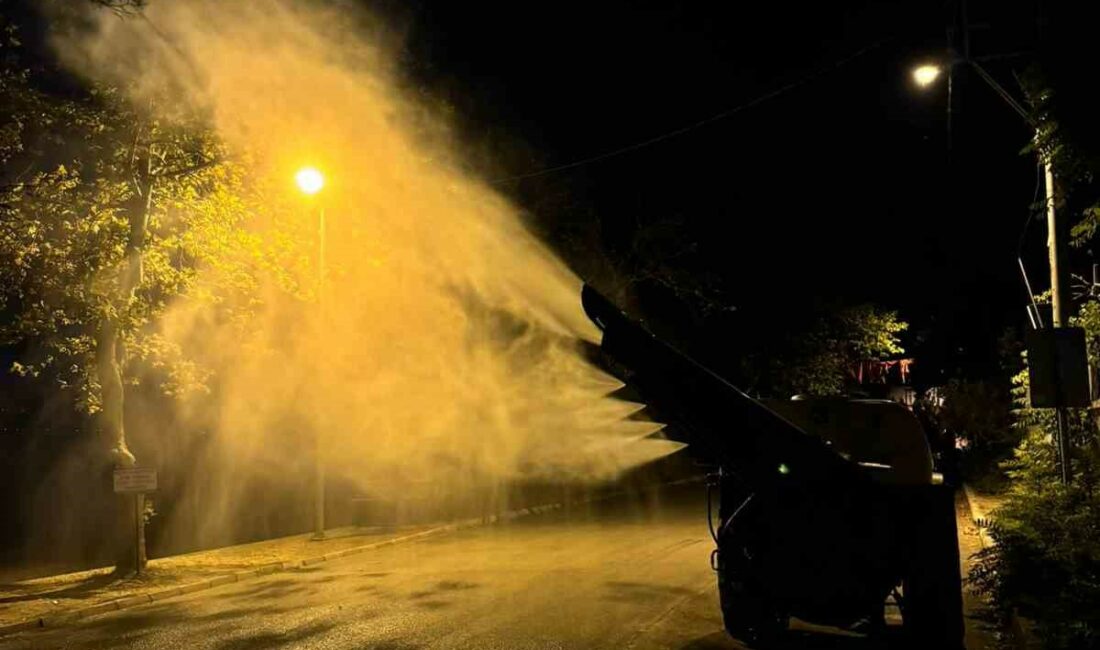 BURSA'NIN İZNİK İLÇESİ BOYALICA SAHİLİNDE AĞAÇLARDA GÖRÜLEN ZARARLILARA KARŞI İLAÇLAMA