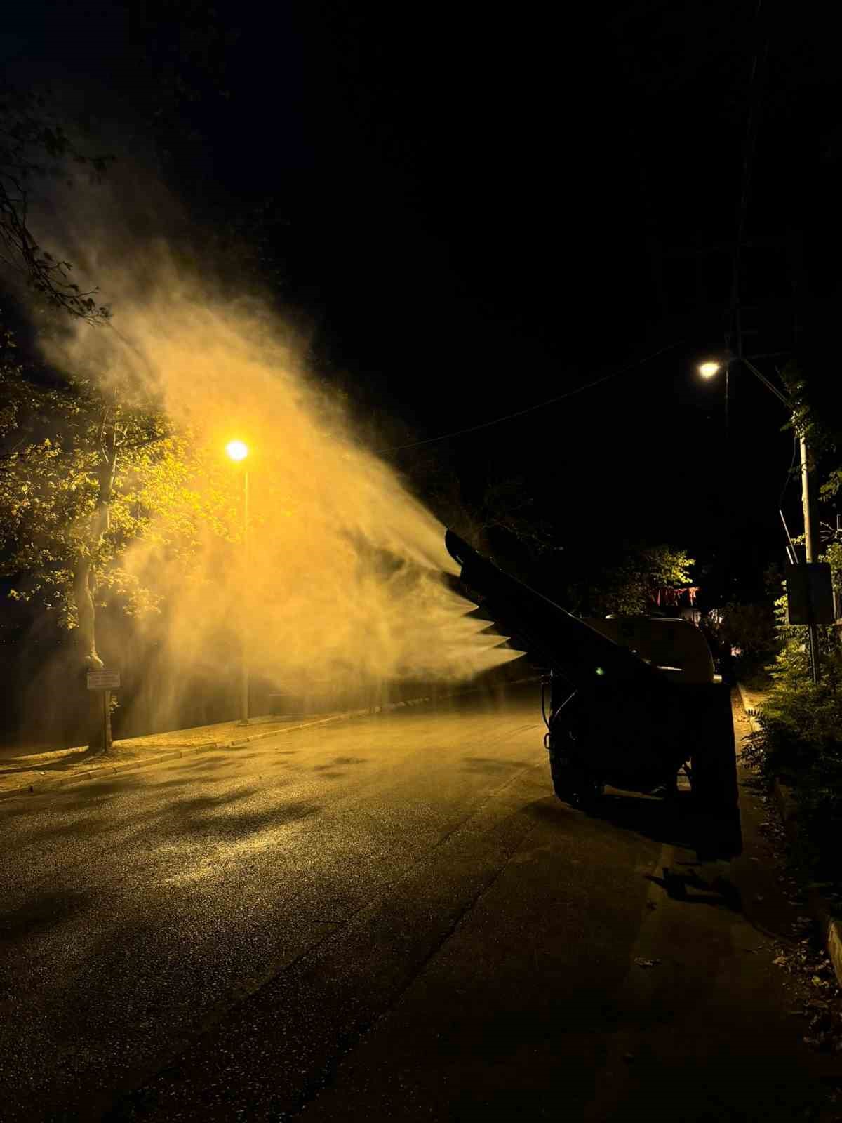 BURSA'NIN İZNİK İLÇESİ BOYALICA SAHİLİNDE AĞAÇLARDA GÖRÜLEN ZARARLILARA KARŞI İLAÇLAMA