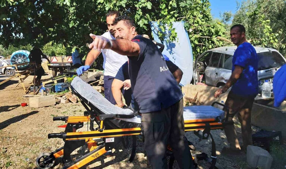 BURSA’NIN İZNİK İLÇESİNDE BİR OTOMOBİL YOL KENARINDAKİ SEBZE TEZGAHINA ÇARPTI.