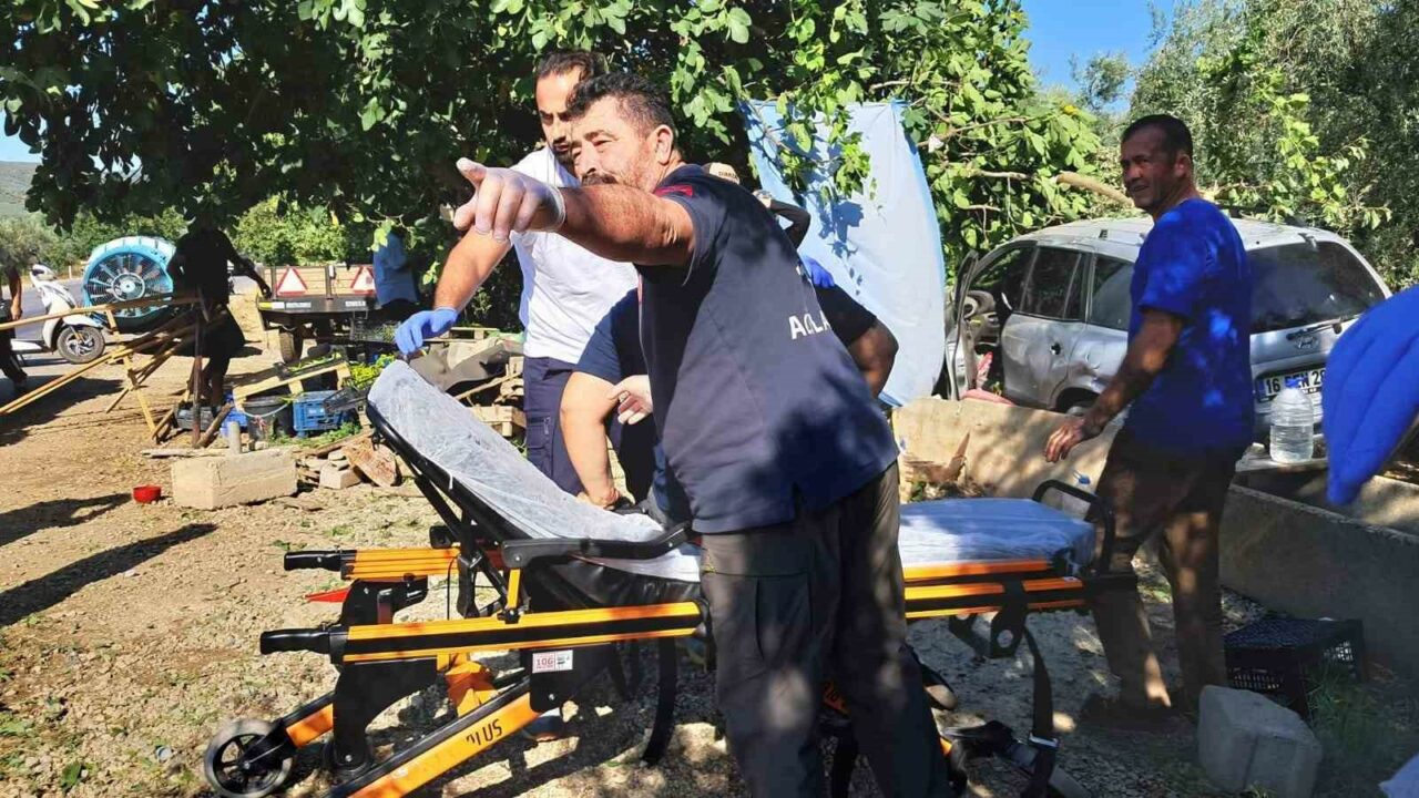 BURSA’NIN İZNİK İLÇESİNDE BİR OTOMOBİL YOL KENARINDAKİ SEBZE TEZGAHINA ÇARPTI.