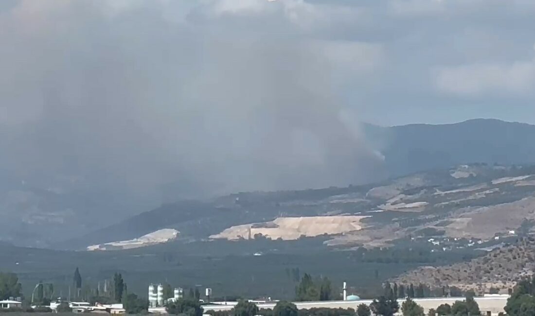İznik’te korkutan orman yangını BURSA'NIN İZNİK İLÇESİNDE ORMANLIK ALANDA YANGIN ÇIKTI. HIZLA BÜYÜYEN YANGINA
