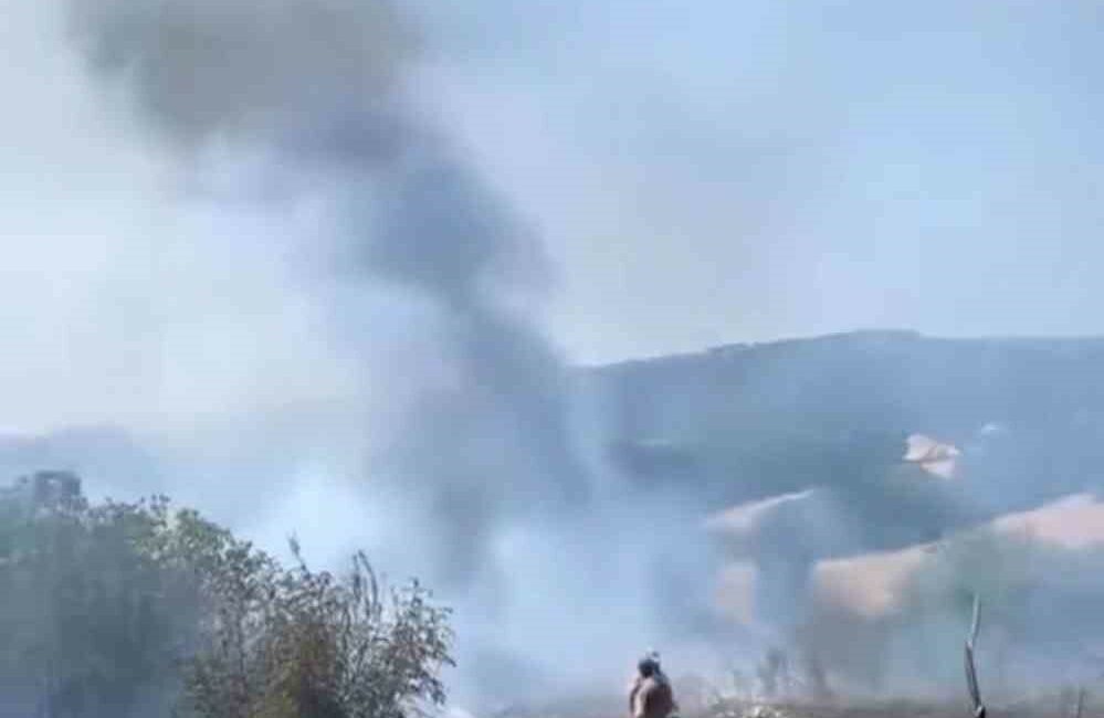 Karacabey’de otluk alanda çıkan yangın korkuttu KARACABEY'DE OTLUK ALANDA ÇIKAN YANGIN KORKUTTU