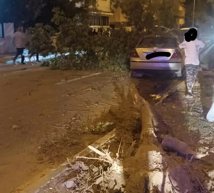 Bursa’da kontrolden çıkan otomobil refüjdeki ağaçlara çarptı BURSA'NIN MUSTAFAKEMALPAŞA İLÇESİNDE AŞIRI HIZLA GİDEN OTOMOBİL KONTROLDEN ÇIKIP, REFÜJDEKİ