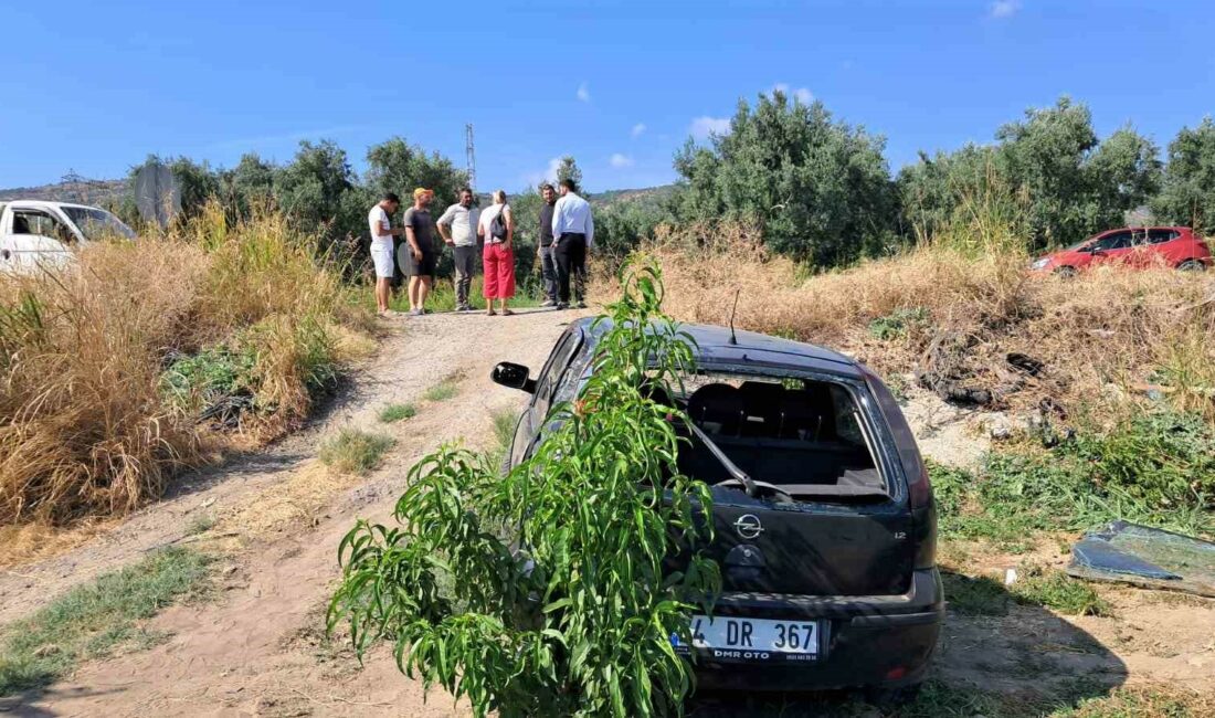 Kontrolünü kaybeden kadın sürücü tarlaya uçtu BURSA'DA TRAFİKTE SEYİR HALİNDE İLERLEYEN OTOMOBİL TARLAYA UÇTU. KAZADA ÖLÜ