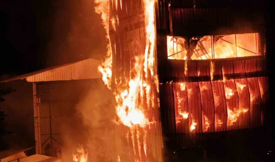 Krom maden tesisi alev alev yandı, 18 araç müdahale etti BURSA'NIN HARMANCIK İLÇESİNDE FAALİYET GÖSTEREN KROM MADENİNDE YANGIN ÇIKTI. ALEVLERİN