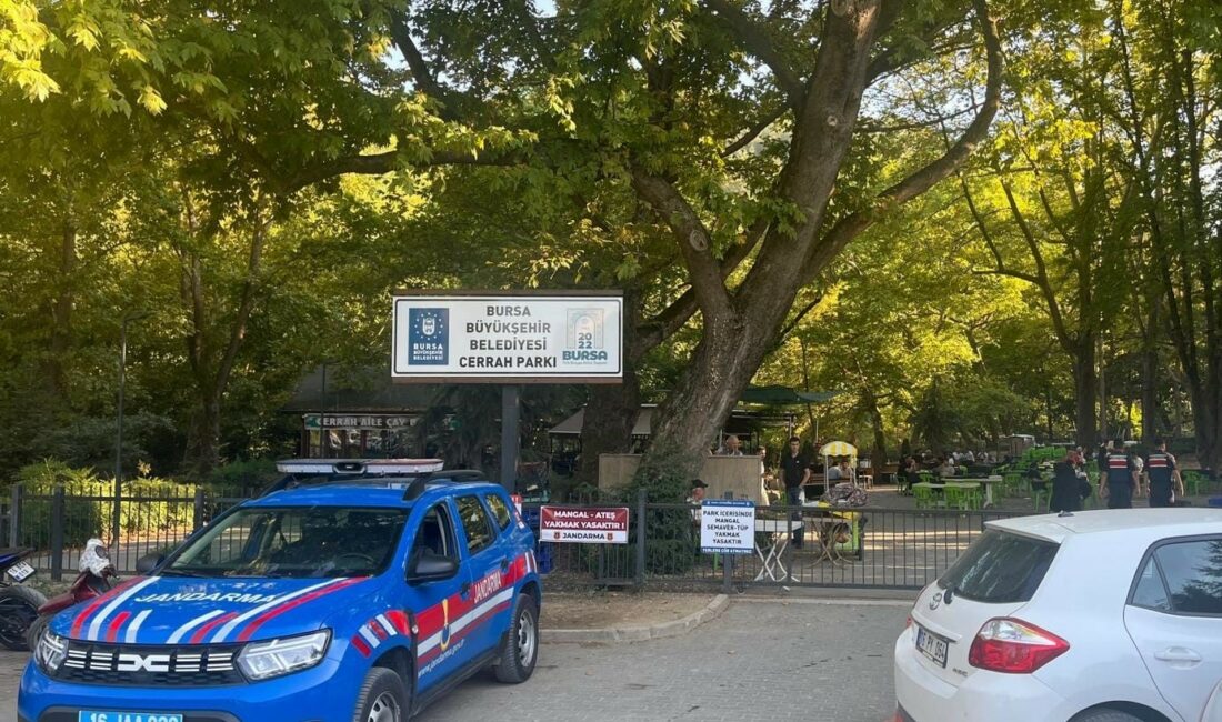 Mangal yakanlara ceza yağıyor BURSA VALİLİĞİNİN ORMAN YANGINLARININ ÖNÜNE GEÇMEK AMACIYLA ORMAN VE MESİRE