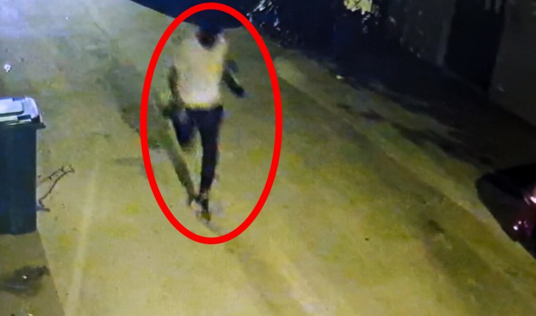 Özgürlüğü bir gün sürdü, yine cezaevine girdi BURSA'DA CEZAEVİNDEN ÇIKTIKTAN SONRA SEVGİLİSİNE HEDİYE ETMEK İÇİN ÇANTA ÇALAN