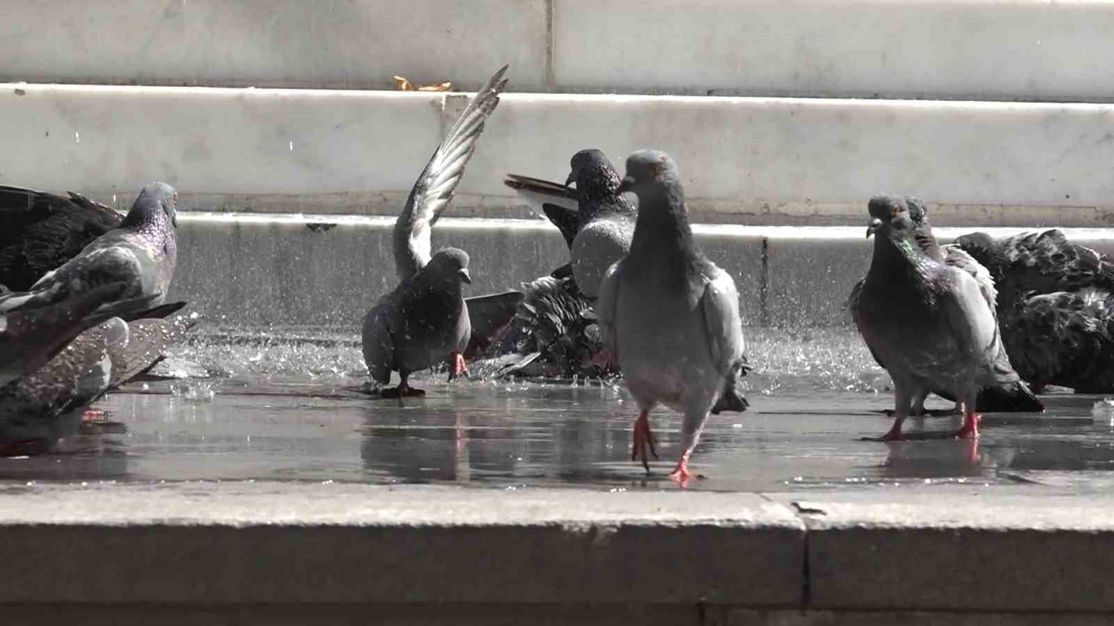 BURSA'DA GÜVERCİNLERİN BANYO KEYFİNİ GÖRENLERİN İÇİ SERİNLEDİ.