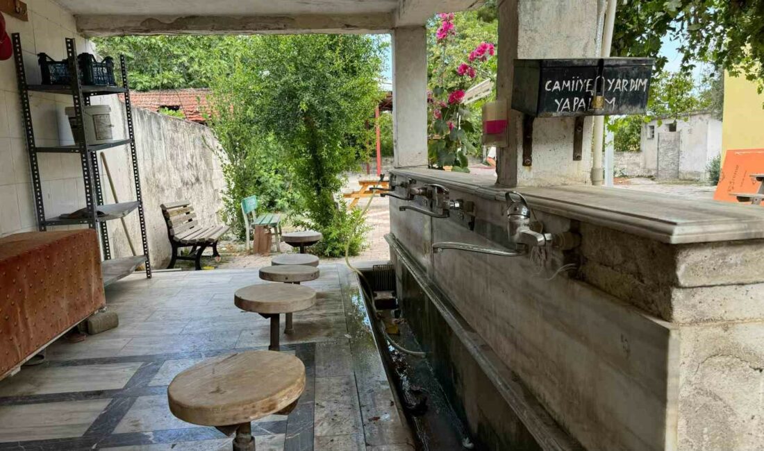 BURSA'NIN İZNİK İLÇESİNDE ŞEKER HASTALIĞINA İYİ GELDİĞİ GEREKÇESİYLE TÜRKİYE'NİN HER