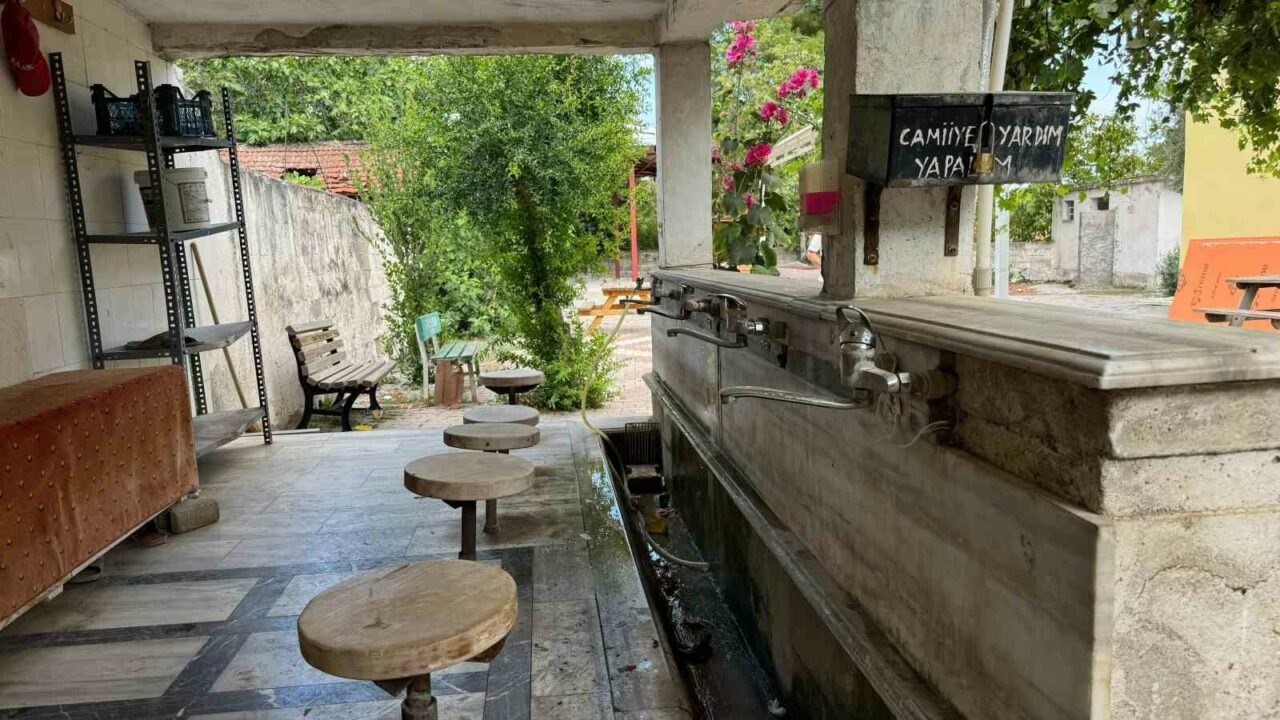 BURSA'NIN İZNİK İLÇESİNDE ŞEKER HASTALIĞINA İYİ GELDİĞİ GEREKÇESİYLE TÜRKİYE'NİN HER