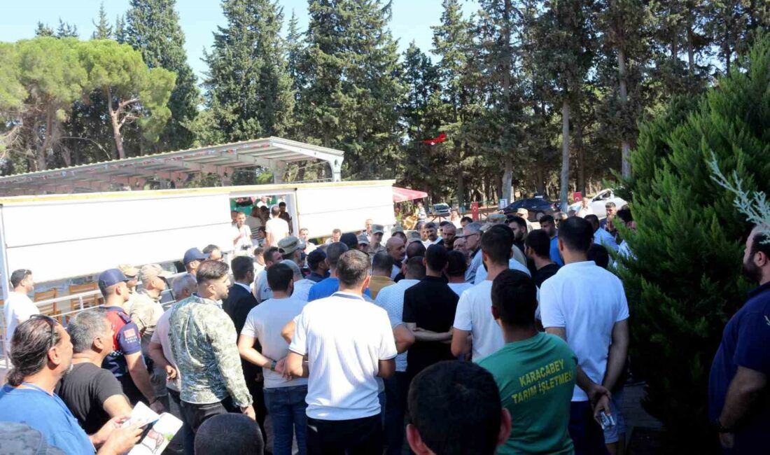 TİGEM tay satışından tek seferde 20 milyon 845 bin liralık gelir elde etti KARACABEY HARASI'NDA 54 TAYIN SATIŞINDAN 20 MİLYON 845 BİN LİRA