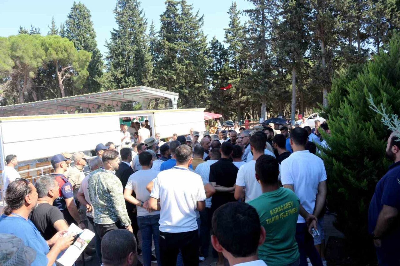 KARACABEY HARASI'NDA 54 TAYIN SATIŞINDAN 20 MİLYON 845 BİN LİRA