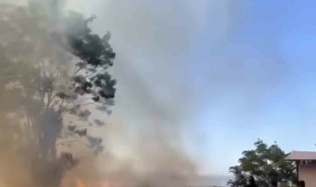 Uludağ eteklerindeki ormanlık alanda korkutan yangın ULUDAĞ’IN ETEKLERİNDEKİ AKÇAĞLAYAN MAHALLESİNDE ÇIKAN ORMAN YANGINI BÜYÜMEDEN SÖNDÜRÜLDÜ.